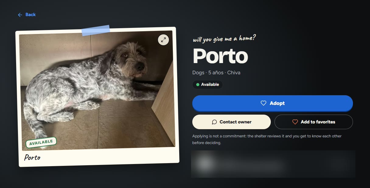 Adoption platform: profile of Porto, a five-year-old dog looking for a home